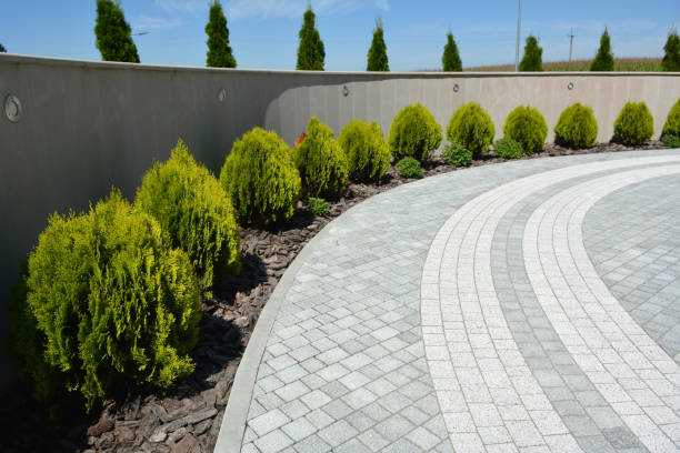 Best Driveway Resurfacing Pavers  in Pahoa, HI